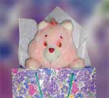 The Bear In A Bag The Bear In A Bag